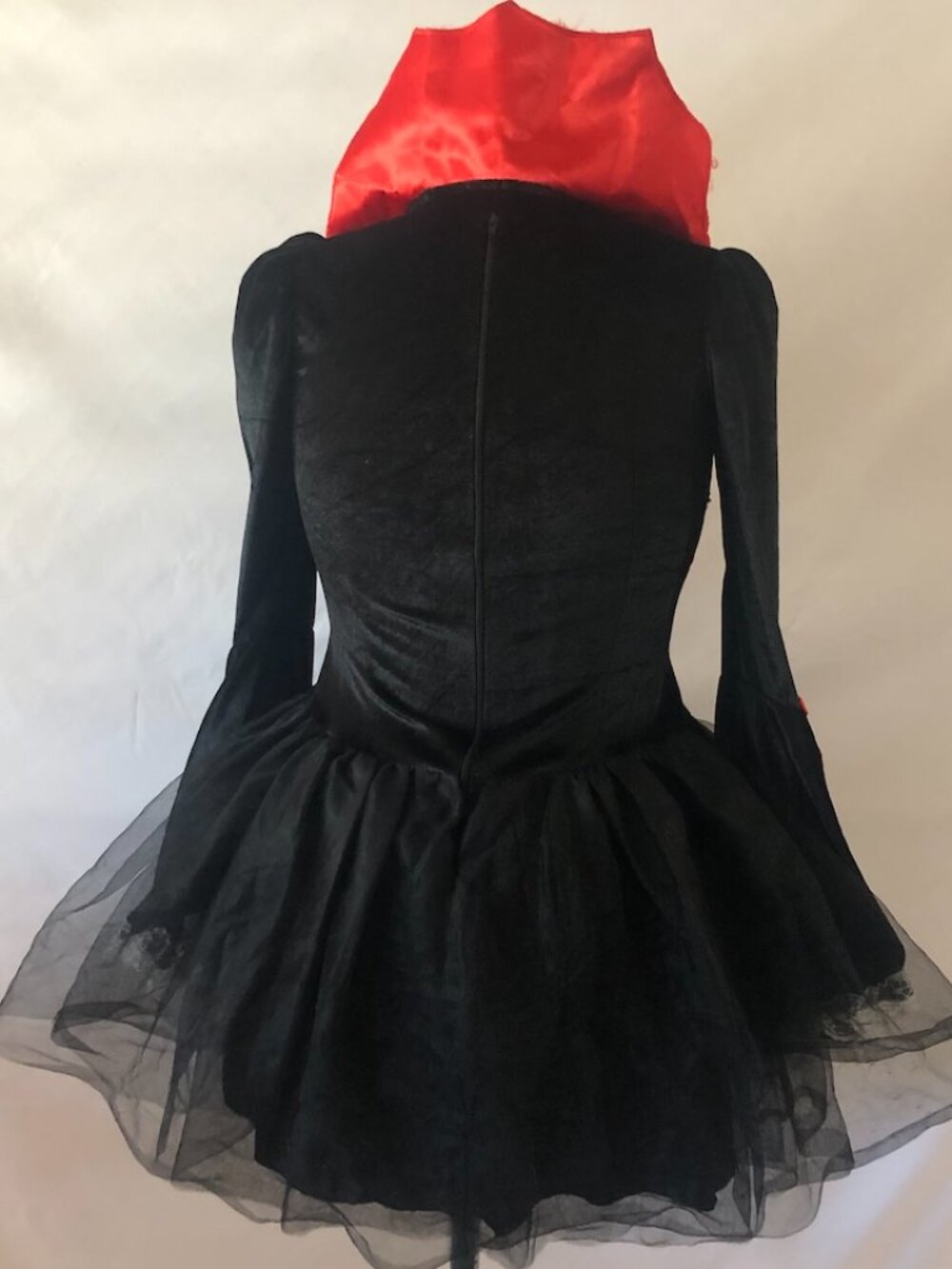 Costume - Picture 2 of 5